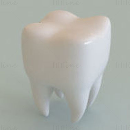 3Д модел зуба
