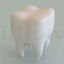 Teeth 3D model