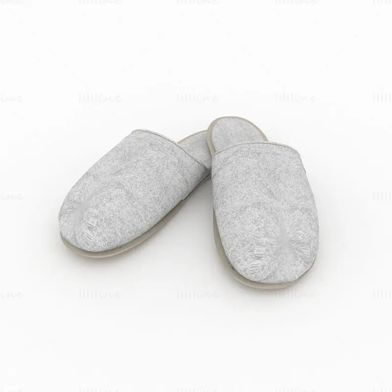 3D model of slippers