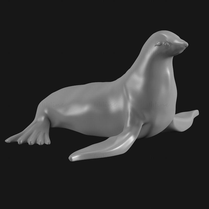 海狮3D打印模型