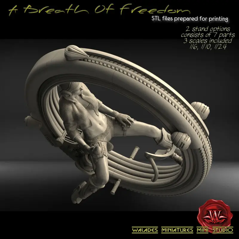 A Breath Of Freedom 3D Printing Model STL