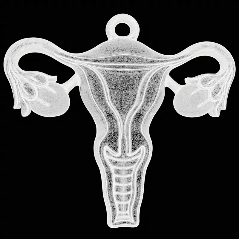 抽象女性符号珠宝设计3D打印模型
