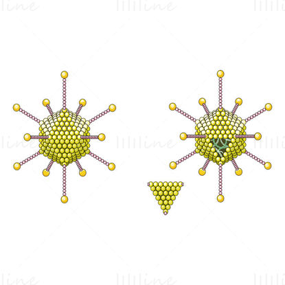Adenovirus vector wetenschappelijke illustratie
