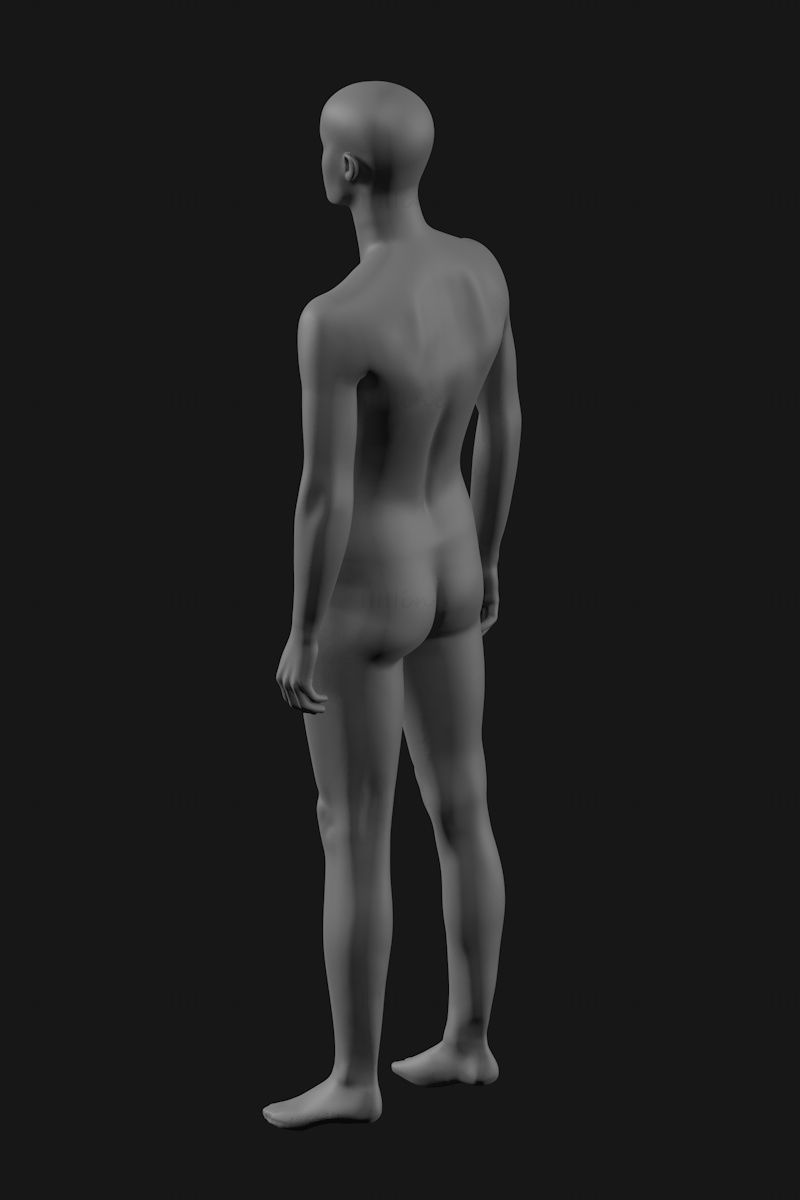 Adult male mannequin 3d print model