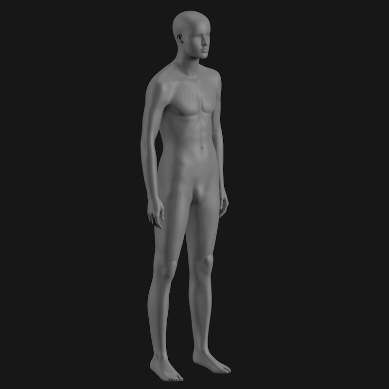 Voksen mannlig mannequin 3D-utskriftsmodell