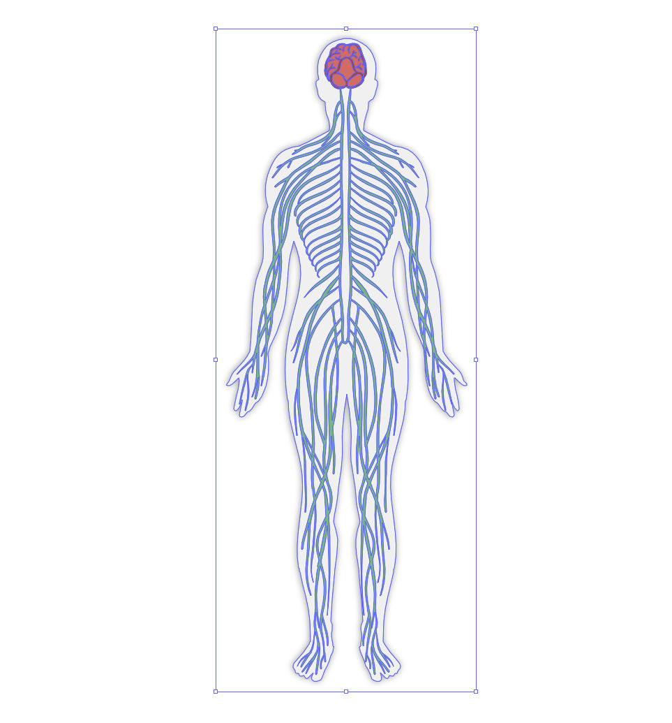 Adult nervous system vector illustration