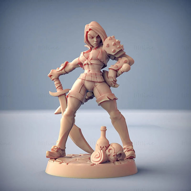 Aline the Bold - Rogue Heroine 3D Printing Model STL