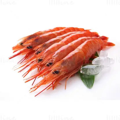 Amaebi(sweet shrimp) image