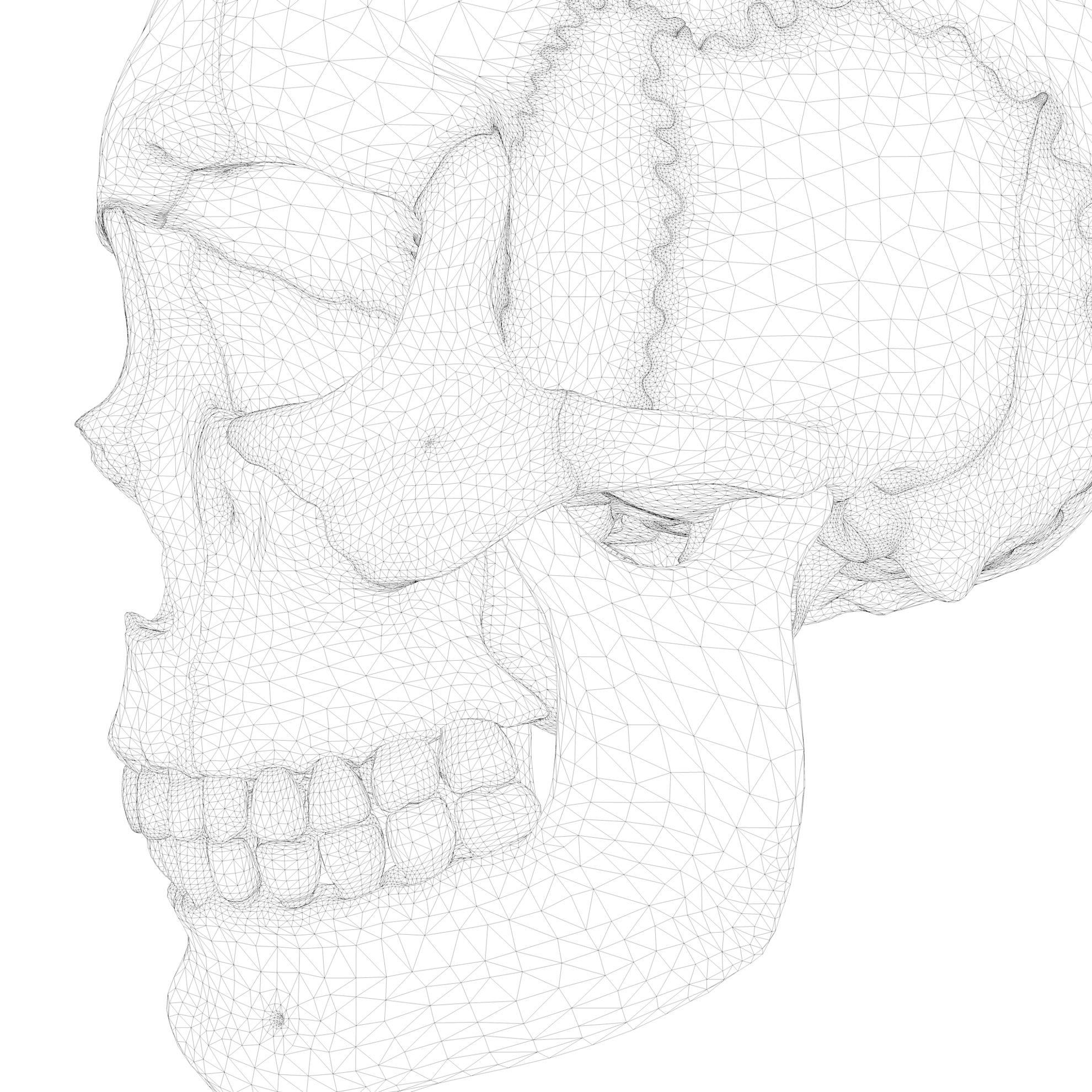 Anatomical Atlas Of The Human Skull 3d Model