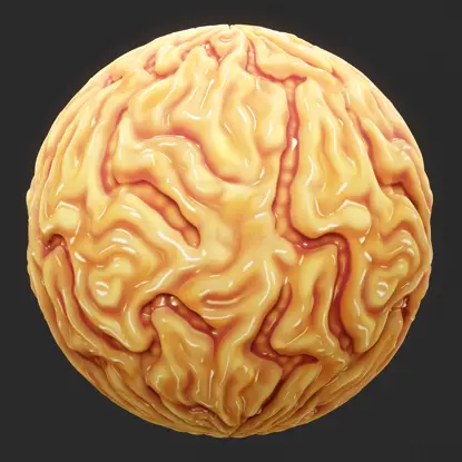 Texture transparente du cerveau d'anatomie