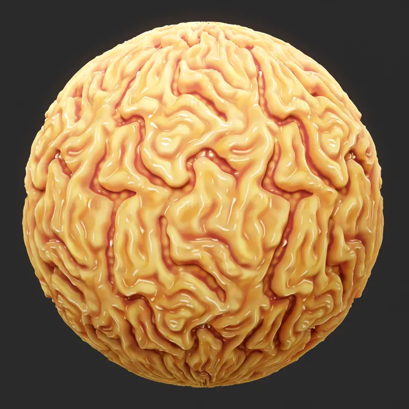 Anatomía del cerebro textura perfecta
