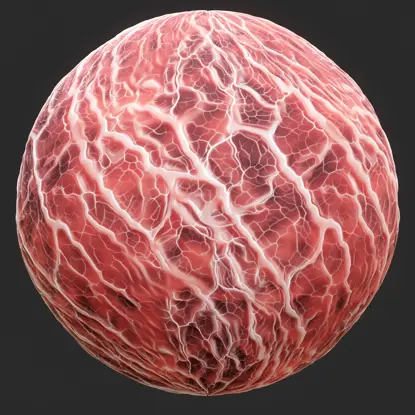 Texture transparente de la viande d'anatomie