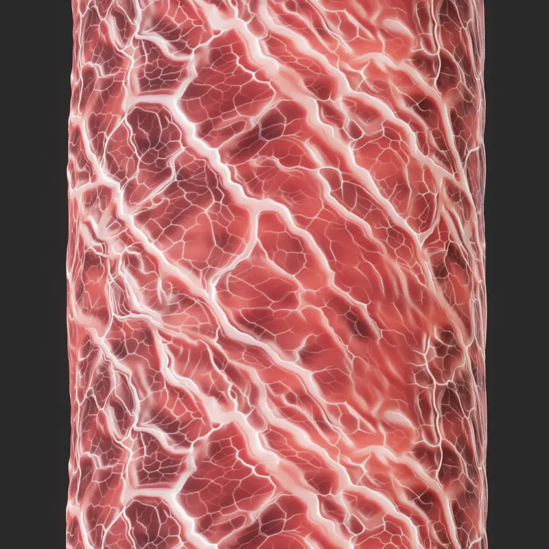 Anatomie Vlees Naadloze Textuur