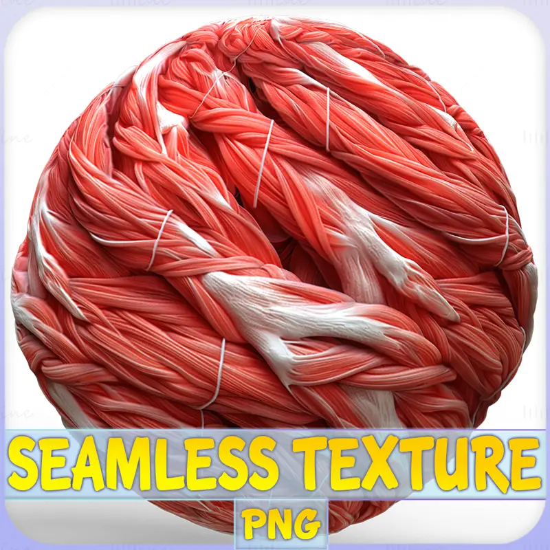 Anatomy Seamless Texture