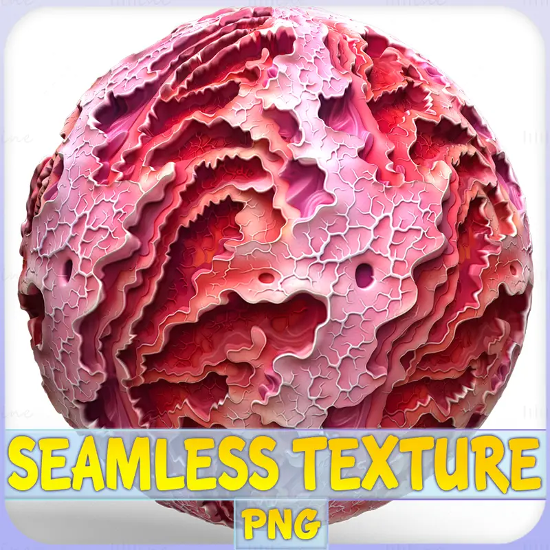 Anatomy Seamless Texture