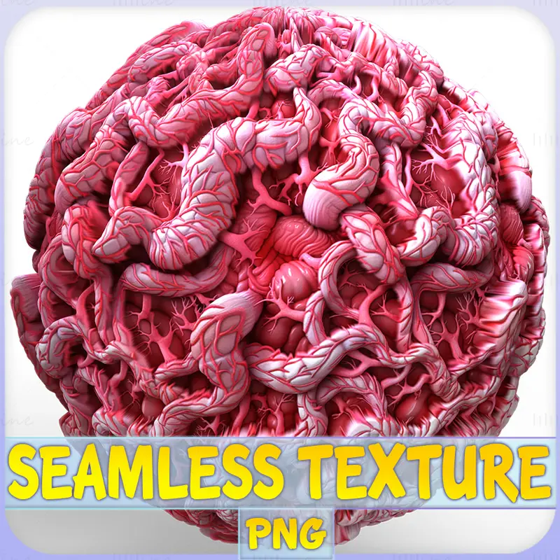 Anatomy Seamless Texture