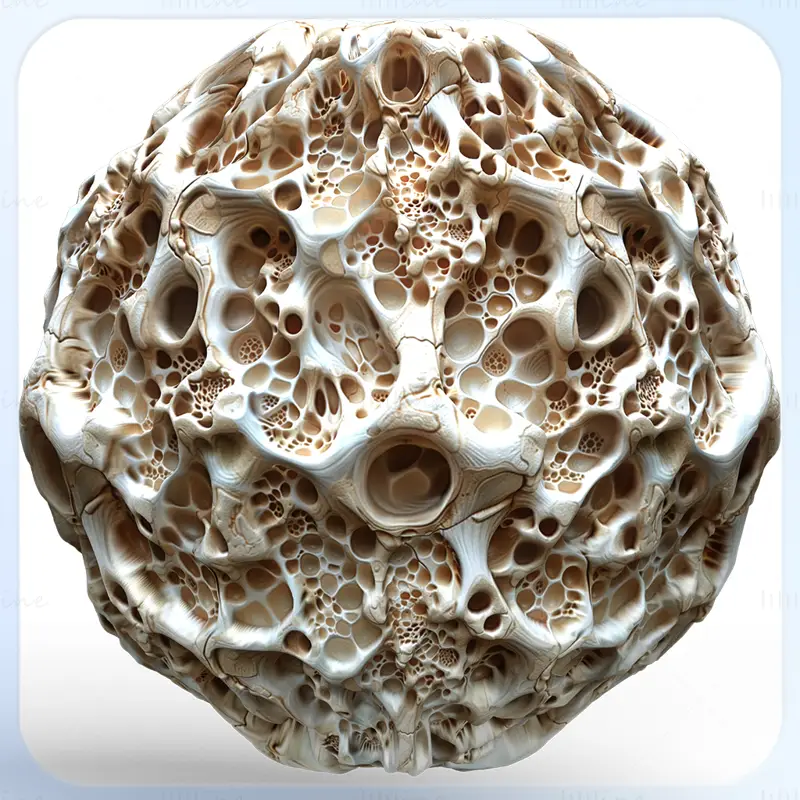 Anatomy Seamless Texture