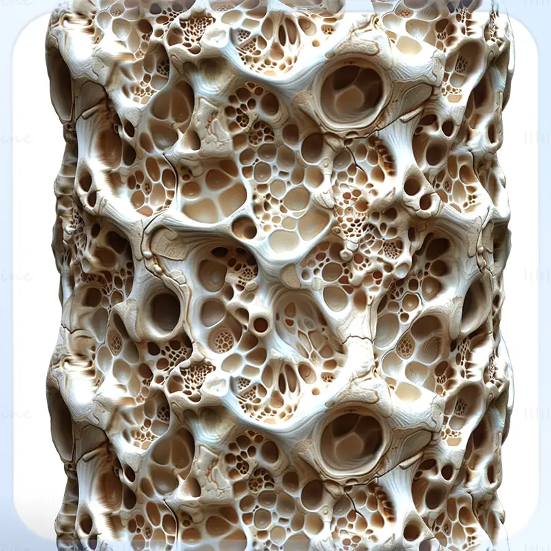 Anatomy Seamless Texture