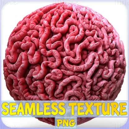 Anatomy Seamless Texture