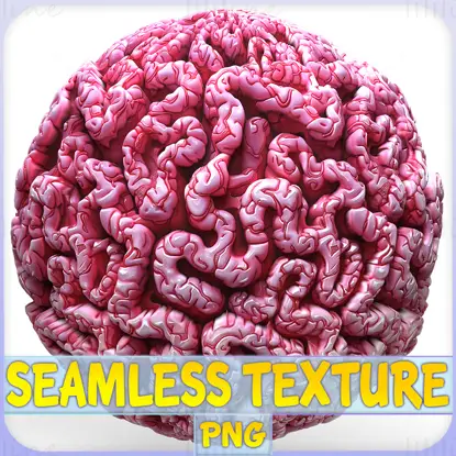 Anatomy Seamless Texture