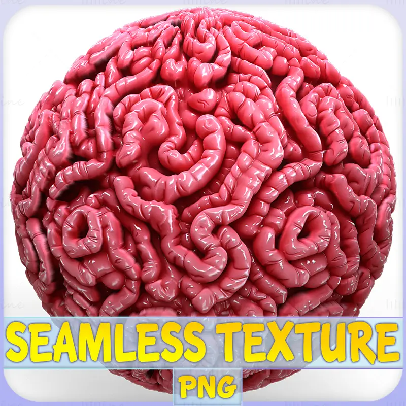 Anatomy Seamless Texture