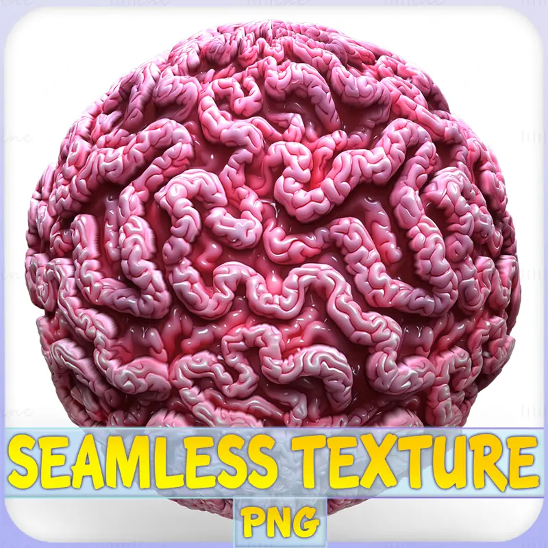 Anatomy Seamless Texture