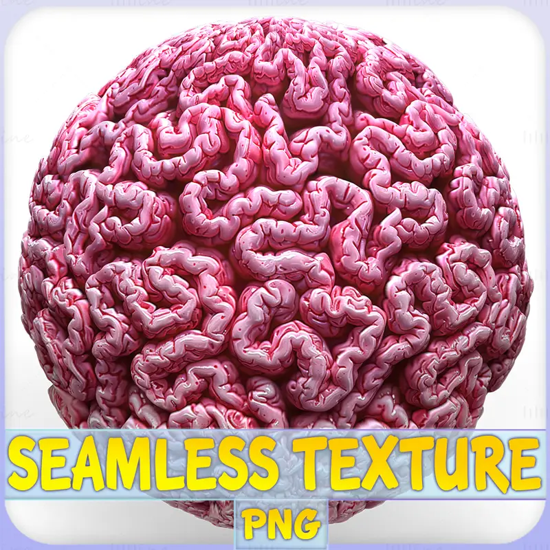 Anatomy Seamless Texture