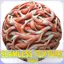 Anatomy Seamless Texture