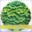 Anatomy Seamless Texture