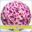 Anatomy Seamless Texture