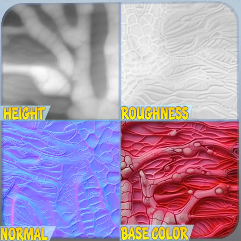 Anatomy Seamless Texture