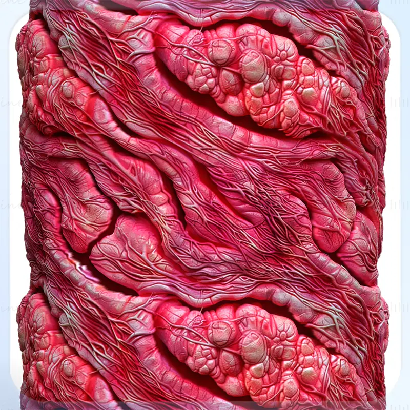 Anatomy Seamless Texture