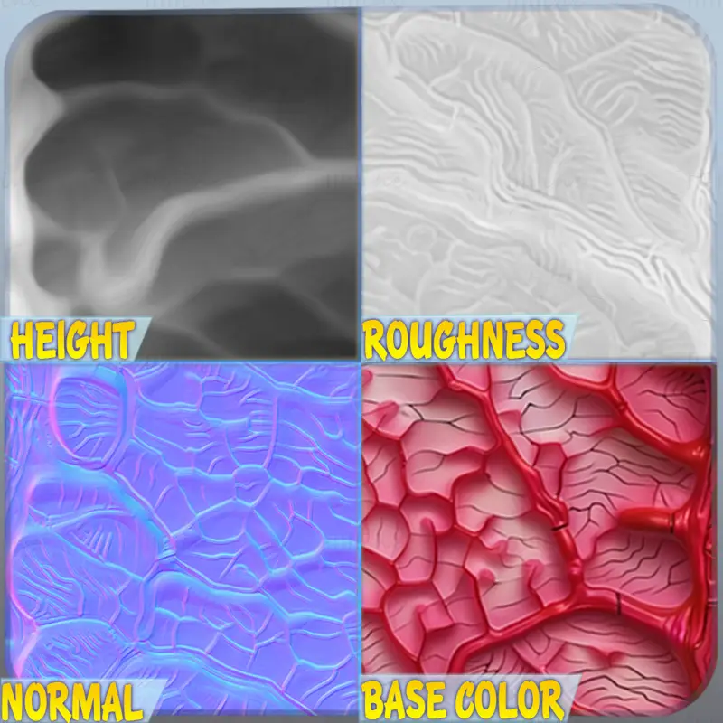 Anatomy Seamless Texture