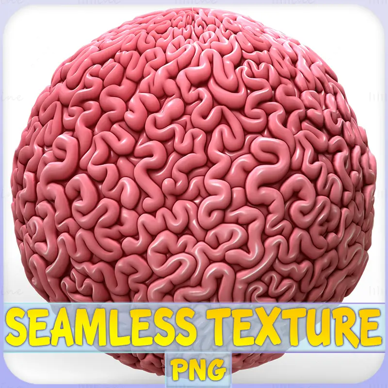 Anatomy Seamless Texture