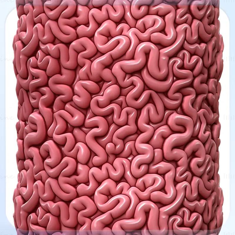 Anatomy Seamless Texture