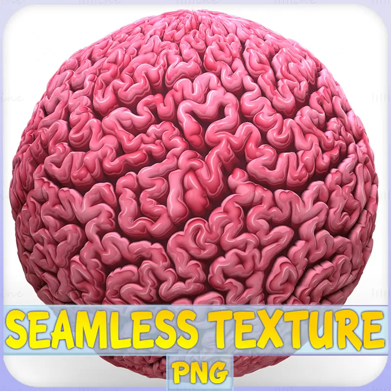 Anatomy Seamless Texture