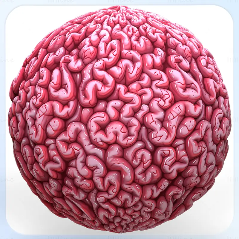 Anatomy Seamless Texture