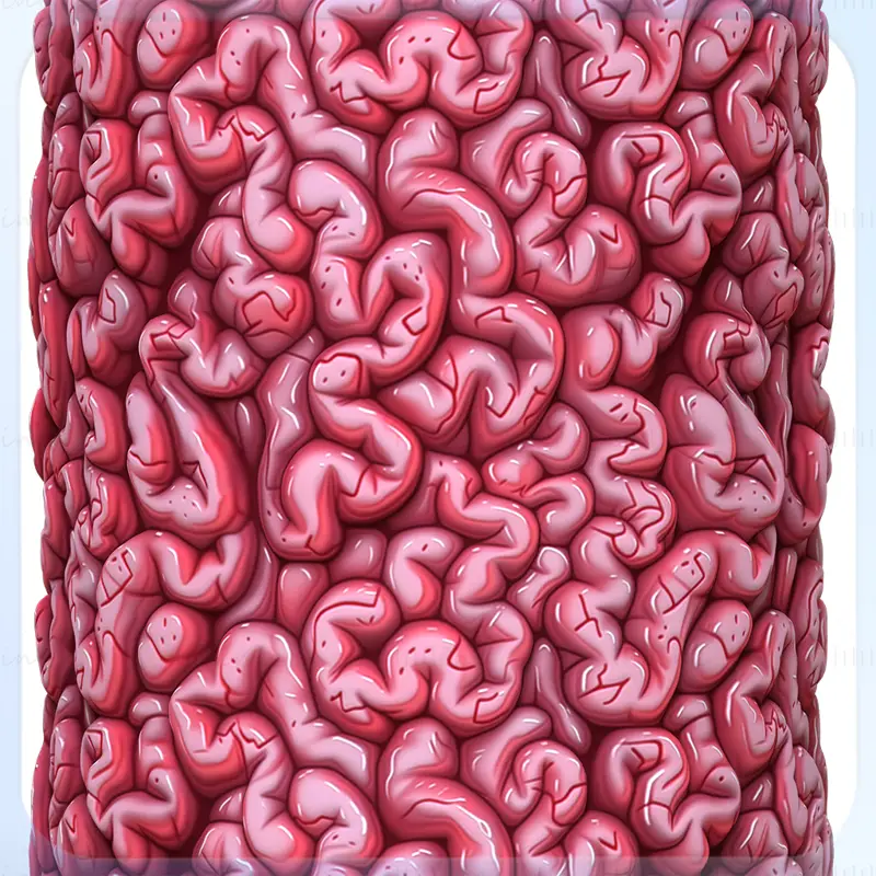 Anatomy Seamless Texture