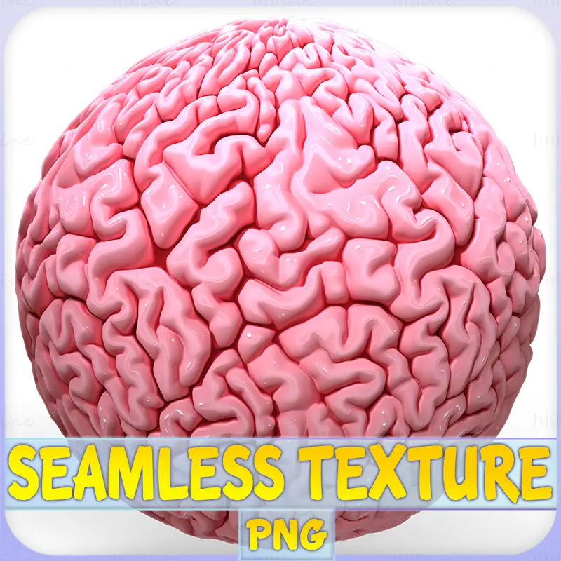 Anatomy Seamless Texture