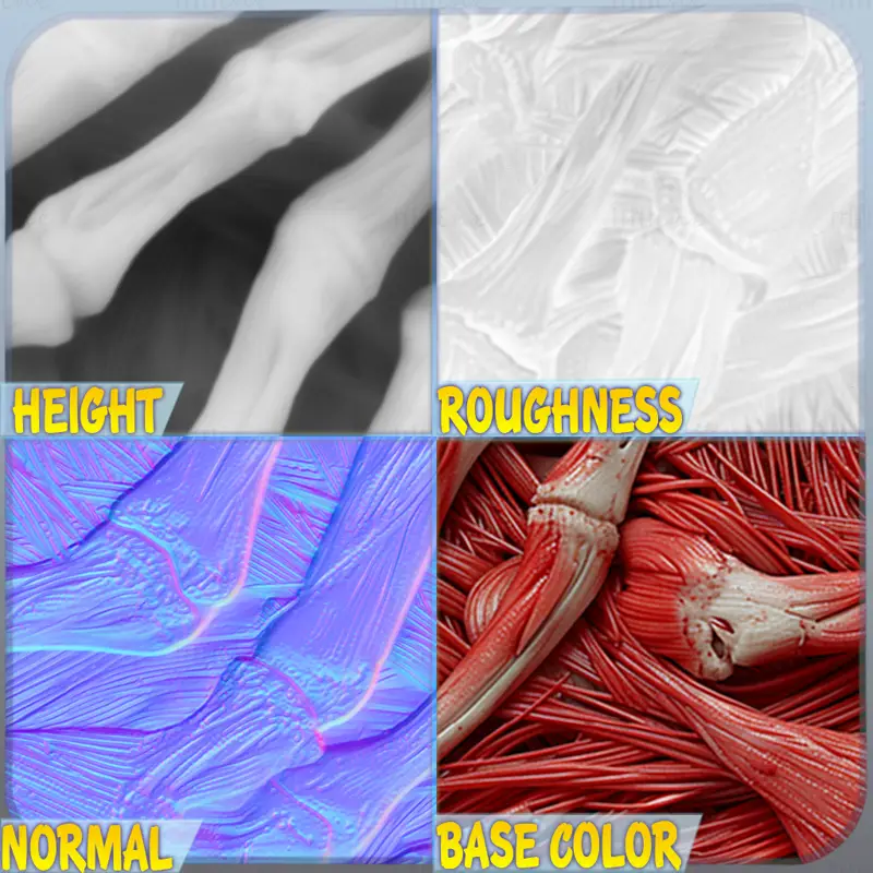 Anatomy Seamless Texture