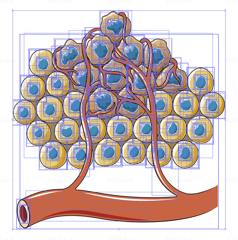 Angiogenesis around cancer cells vector
