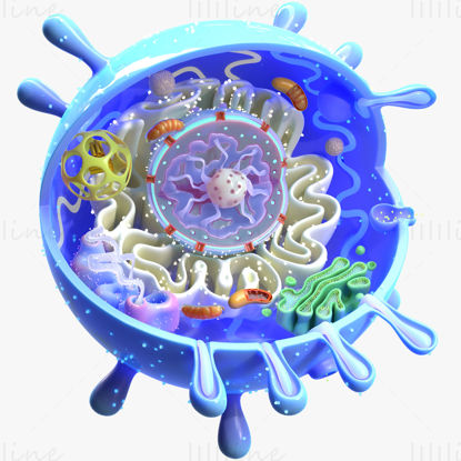 3D model zvířecí buňky