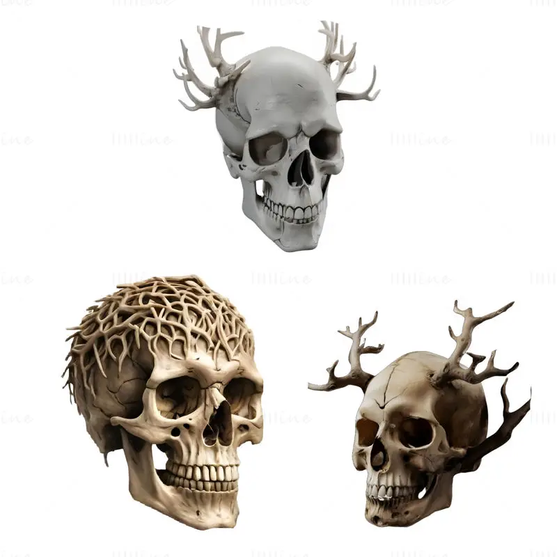 Antler Human Skull 3D Print Model Collection