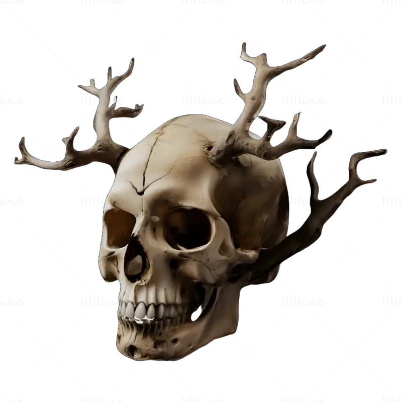 Antler Human Skull 3D Print Model Collection