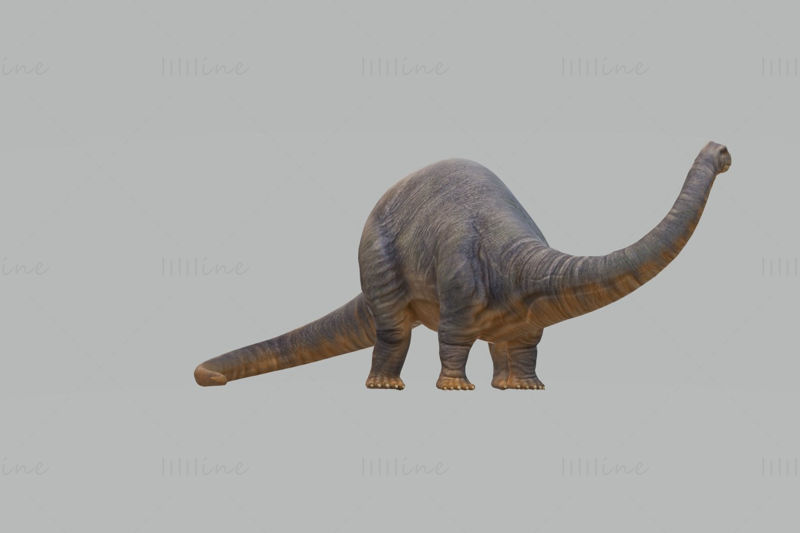 Apatosaurus Dinosaur 3D Model Ready to Print STL FBX OBJ