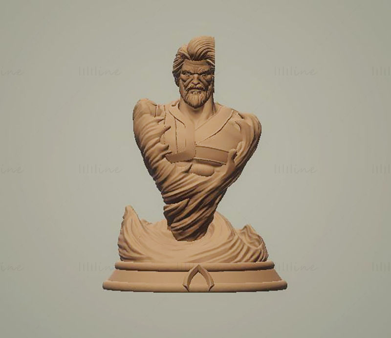 Busto de Aquaman Modelo de impresión 3D STL