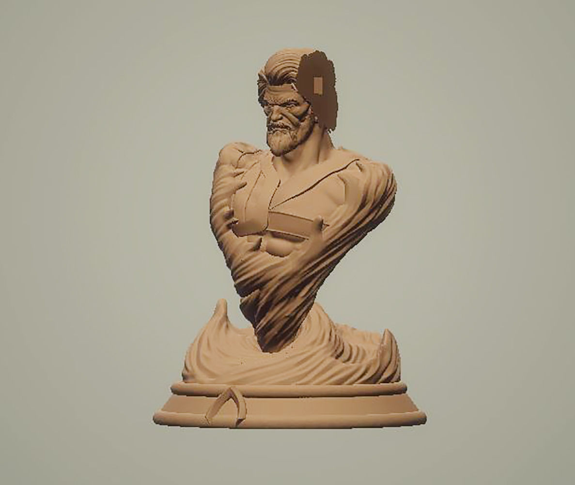 Aquaman Bust 3D Printing Model STL