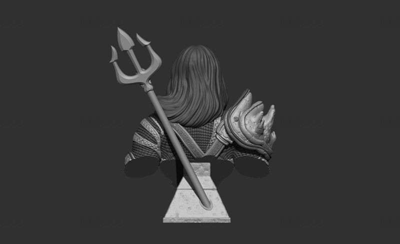 Modelo de impressão 3D Aquaman Bust STL