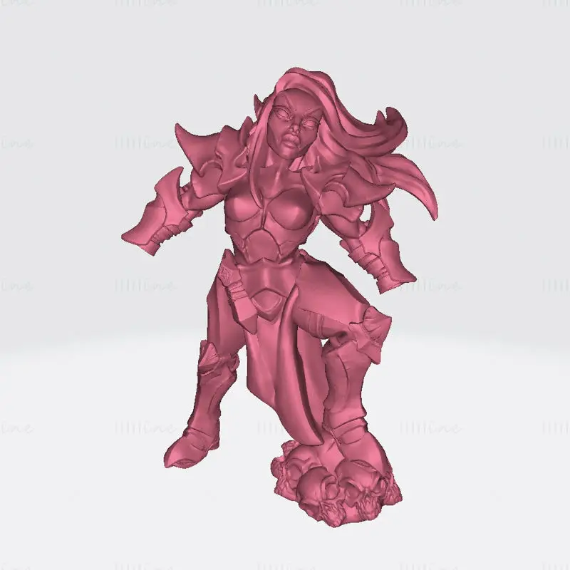 Ashen Inquisitor Female C miniatűr 3D Print Model STL
