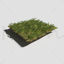 Ashweed Dense Meadow Patch مدل سه بعدی و هدیه رایگان